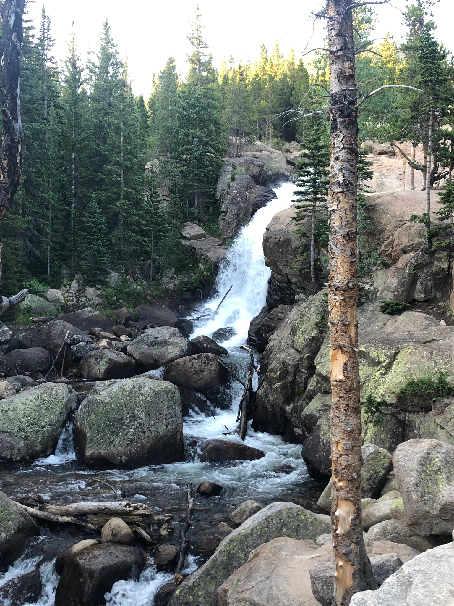 5 Easy Hikes In Rocky Mountain National Park