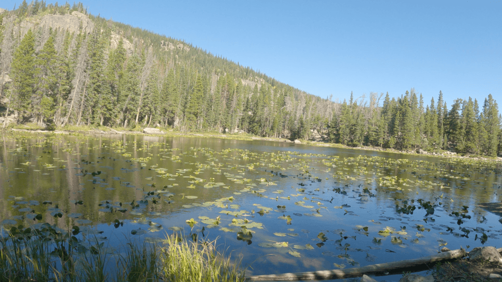 Nymph Lake - Rocky Mountain National Park